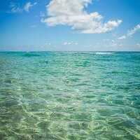 유리바다 (@sjioo142) 's Twitter Profile