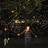 Tracy_hfx's profile image
