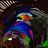Alee7210's profile image