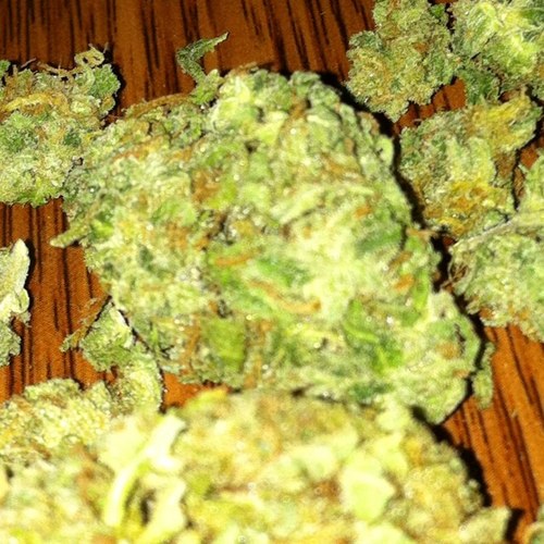 SalFlako's profile picture. 28/m puertorican.