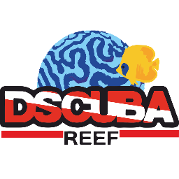 Bucear se hará tu pasión junto a nosotros...descubrir la inmensidad tu felicidad :D