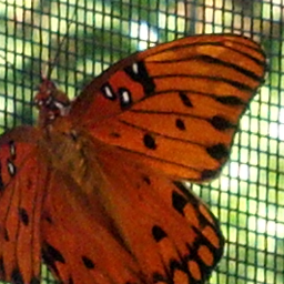 ddpittman's profile picture. 