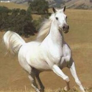 انت الذي ساكن بقلبي وخليت ،عذب المشاعر والغلا في رصيدك ، بسمك ملكتيني غلا لو تغليت ، وكل الحروف تروح صفحة بريدك