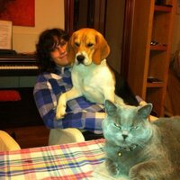 Paula Poveda (@paula_poveda) 's Twitter Profile