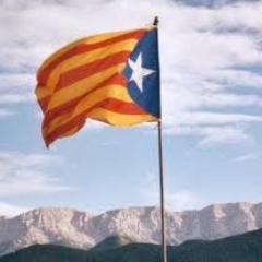 Compromesa amb la Independència del meu país, Catalunya.
Distribució de productes ecològics  http://t.co/zyqT0cVghN