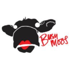 BusyMoos Profile Picture