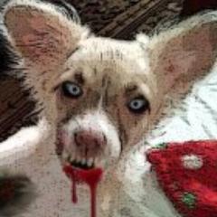 Everything and anything zombies, news, Walking Dead, movies, books, art, clothing, zombie walks and more!