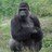ProfSharp's profile image