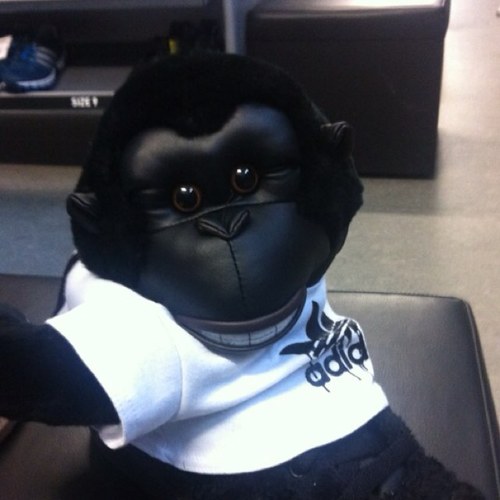 daran_p's profile picture. 