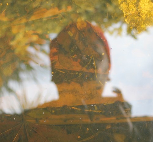 CFMeister's profile picture. 