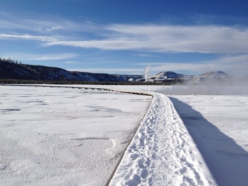 brdent's profile picture. ER physician and creator of ScribeGoat2, a medical LLM safety pipeline. Runs reproducible multi-turn red-team audits exposing high-risk clinical failures.