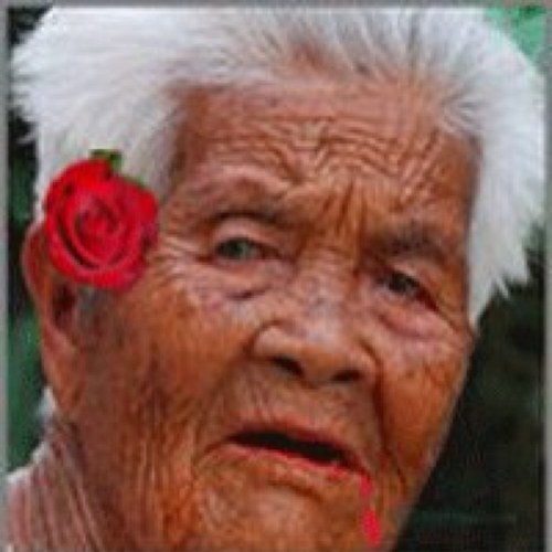 tuadtip's profile picture. safe world, like nature , animal