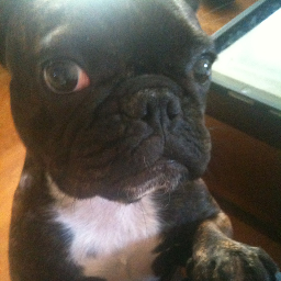 GothamJeff's profile picture. CA/NY/Bay Area/Brooklyn/Improv/Indie rock/Turn Records