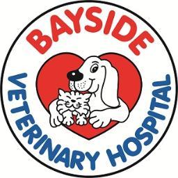 San Diego veterinarians Dr. Rozsa, Dr. Deo and Dr. Vincent practice at Bayside Veterinary Hospital and specialize in caring for different animals.