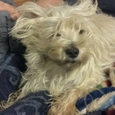 John Petrowski - @jpetrowski1 - Twitter