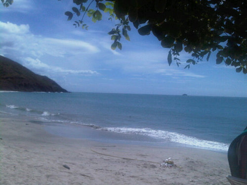 letisan46's profile picture. 