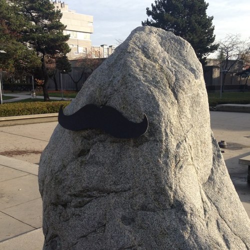 The infamous rock @LangaraCollege! AKA The Fresh Rock of Langara... Love people watching, dressing up for holidays, and playing with the ducks in the summer!