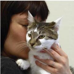 I live in California and work in music industry. I love animals, have 4 cats at my home.