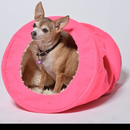 A new pet bed for cats and small dogs!