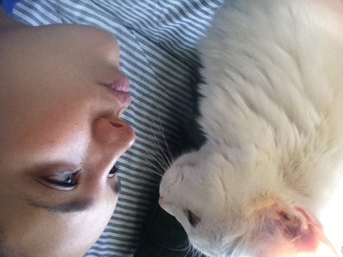 LizzeWhiteB's profile picture. 