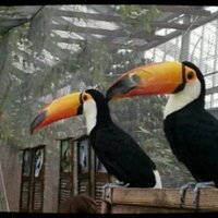 くぼおやじ (@kubooyaji) Twitter profile photo