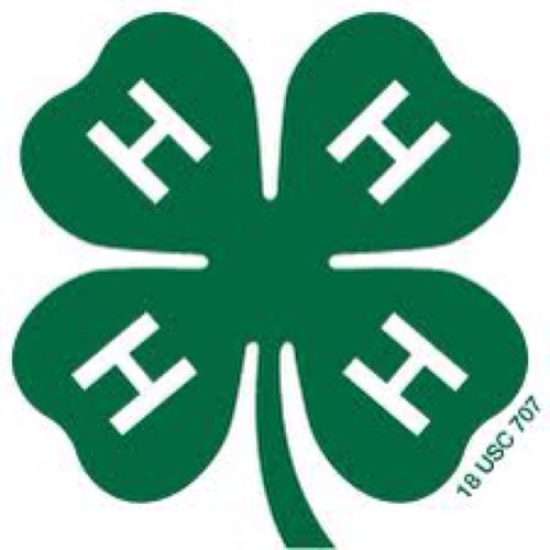 Official Lincoln County 4H Teen Club Twitter