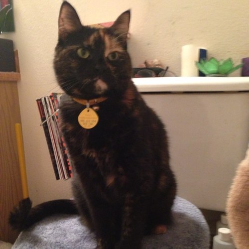 AquarianWitch's profile picture. 