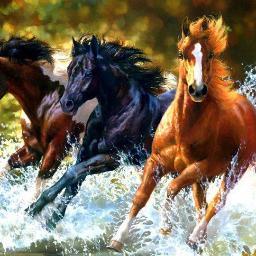 kardakatathinia's profile picture. 