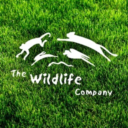 The Wildlife Company is an exciting adventure into the animal kingdom, bringing live animals to your next school assembly, corporate event, or birthday party.