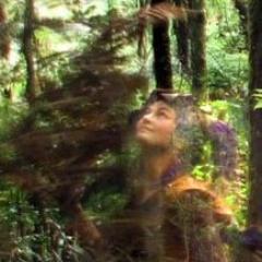 Inspiration. Creativity. Nature. Life. Faery.