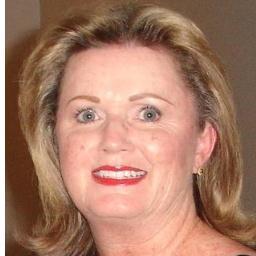 Ex Director of DigiLEARN- Digital Learning Institute for birth-Post Secondary.  It is a 501C3 founded by former NC Governor Bev Perdue.