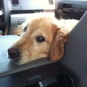 Ellen Franks - @ellen_franks - Twitter