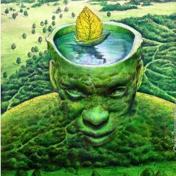 Frases ecologicas, frases verdes !