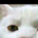 Rémi Tremblay - @Fckubitchz - Twitter