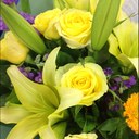 youngmi park - @pym0828 - Twitter