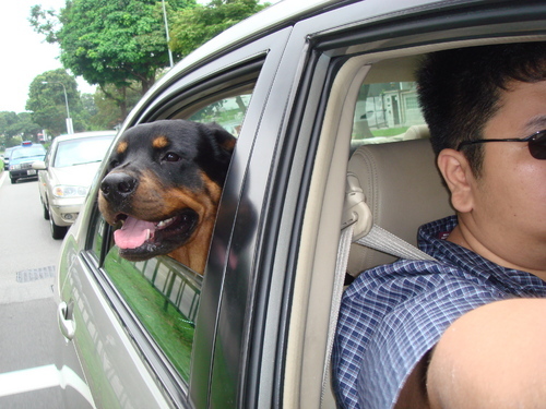 tigerkiller's profile picture. Tall Dark and from the Navy