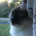 Elaine Daigle - @honeyhilldarlin - Twitter