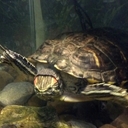 Jerry Weber - @JERRY_shore - Twitter