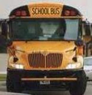 pioneerbus's profile picture. 