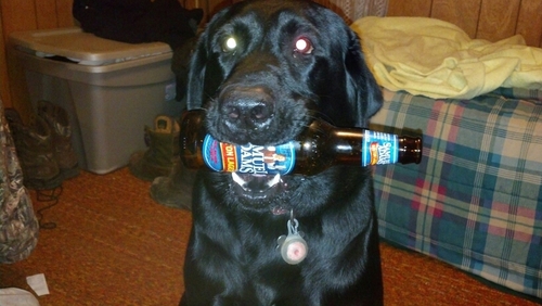 gunner343's profile picture. 