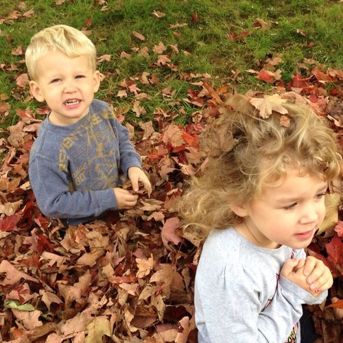 picnictables's profile picture. too many late nights