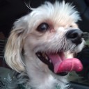 Saida Martinez - @martinezsx - Twitter