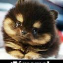 DaRiA mArTiNeZ - @DaRiAnAnAnA - Twitter