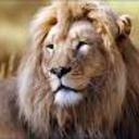 Scott Morrell - @Rametyn - Twitter