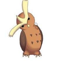 HootRoll's profile picture. AAAHAHHHHHHHH!!!! WHAT HAPPENED!?