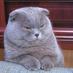 PeterCassizzi@toad.social (@cassizzi) Twitter profile photo