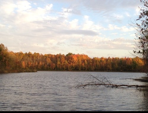 frostymember's profile picture. 