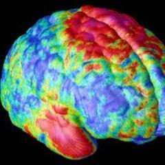 schizofr3nic_wr's profile picture. No se que hago, pero se quien soy #Legion Anonymous