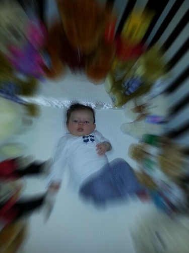 mollygeorge108's profile picture. loving life, laughing my way through, with the love of a great family and good friends.