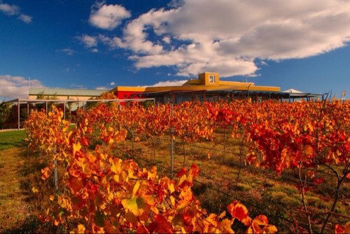 Located 30 minutes from Canberra CBD, in Wamboin NSW at 810m, Ruth & Steve Lambert produce award winning premium quality cool climate wines.